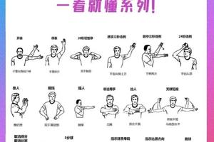 为什么冠军球员的篮球训练方法与众不同:深度解析与实践指南